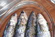 sea fish-fish cooked-sushi-meditterranean fish sea fish-fish cooked-sushi-meditterranean fish