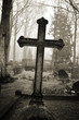 cross in fog at the cemetery
