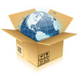 Cardboard Box with Earth