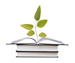 tree growing from open book