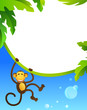 Frame with monkey Frame with monkey
