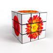 3d cube with photo over white background