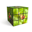 3d cube with photo over white background