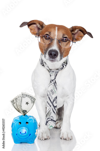 Photo: dog with piggy bank dog with piggy bank