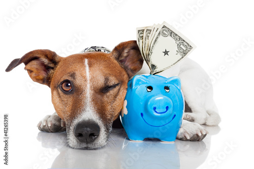 Foto: dog with piggy bank dog with piggy bank