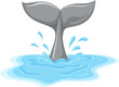 Whale tail Whale tail