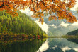 autumn in China autumn in China