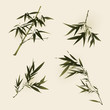 oriental style painting, bamboo leaves