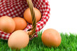 Eier