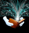 Magic book