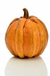 zucca gialla gastronomia zucca gialla gastronomia