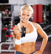 fitness woman working out with dumbbell in gym fitness woman working out with dumbbell in gym