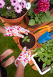 Spring planting