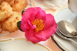 Camellia With Food Camellia With Food