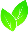 Leaves vector Leaves vector