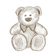 Hand drawn teddy bear isolated on white. Hand drawn teddy bear isolated on white.