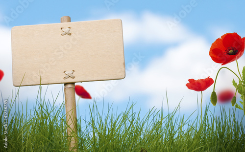 Foto: blank wooden sign, grass and poppies blank wooden sign, grass and poppies