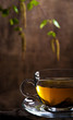 Cup with  tea and birch branch with seeds , young leaflets