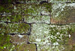 Old wall of the moss .