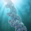 DNA strand model