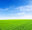 Photo en ligne au meilleur prix Field