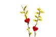 isolated spring pussy-willow and hearts