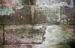 Old wall of the moss .