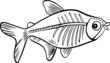 cartoon x-ray fish for coloring book cartoon x-ray fish for coloring book