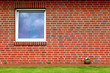 Window