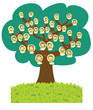 albero genealogico,