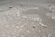 Solfatara
