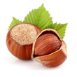 Dried hazelnuts with leaves
