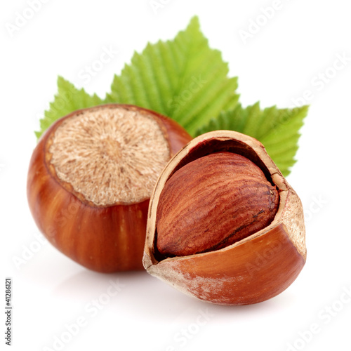 Photo: Dried hazelnuts with leaves Dried hazelnuts with leaves