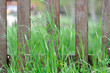 barrière en bois barrière en bois