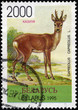 Roe. Postage stamp Belarus