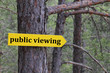 public viewing in the woods