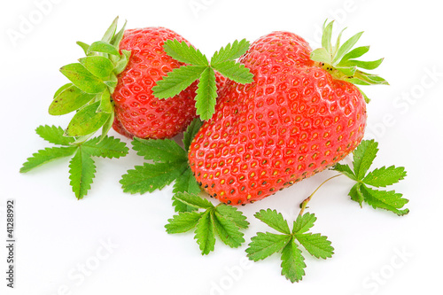 Foto: fragole fragole