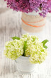 White flowers White flowers
