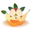 fruits fruits