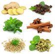 Collecton of fragrant spices