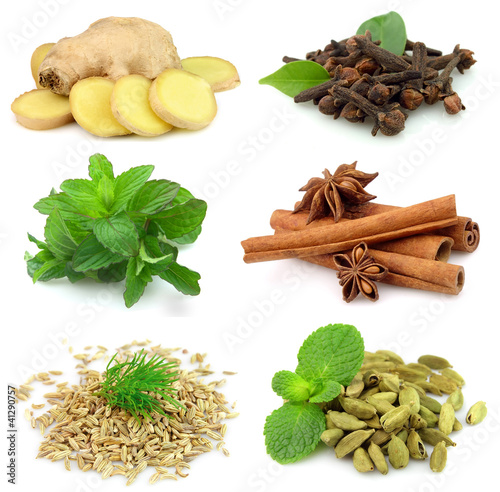 Photo: Collecton of fragrant spices Collecton of fragrant spices