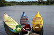 Foto: Guyane - Pirogues Guyane - Pirogues