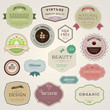 Set of vector labels and stickers