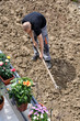 jardinier paysagiste plantations printemps