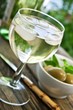 Schorle  -  Weißwein