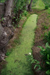 canale di irrigazione nella pianura veneta