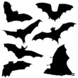 bat black silhouette illustration