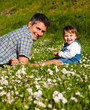 Photo: Spring fun Spring fun