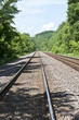 Train tracks through the woods