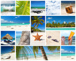 Caribbean collage